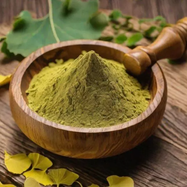 Ginko Biloba Moído